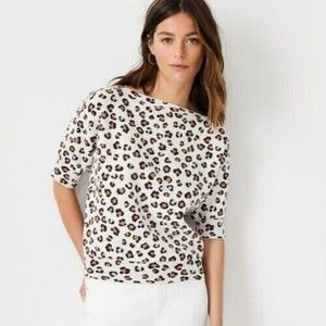 Ann Taylor Leopard Sweater Sz S White Brown Blue Boat Neck